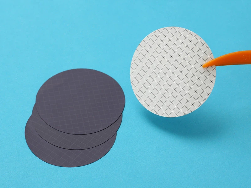 CN Gridded Membrane Filter